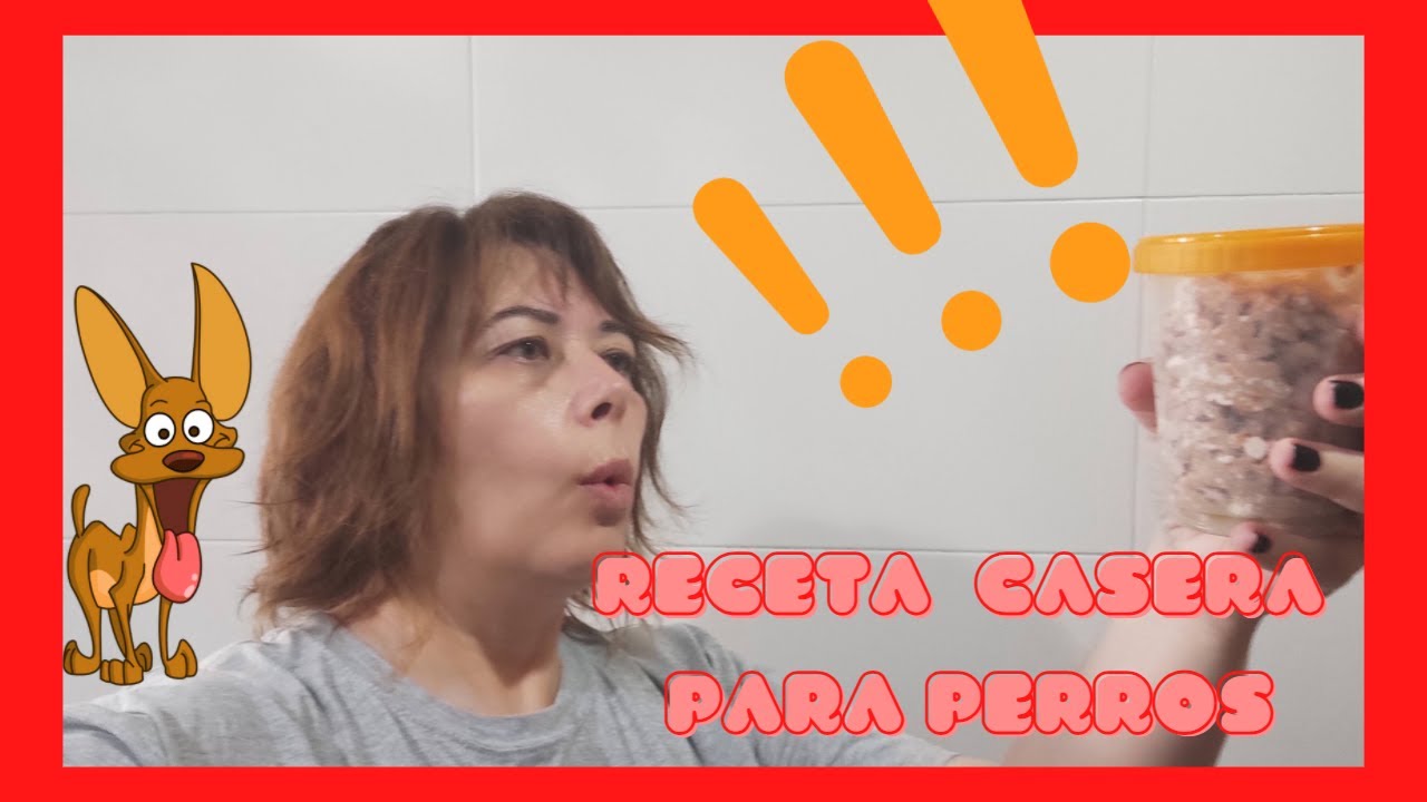 Receta de comida casera para mini pincher ¡Truco para cocinar una vez y tener siempre a punto!
