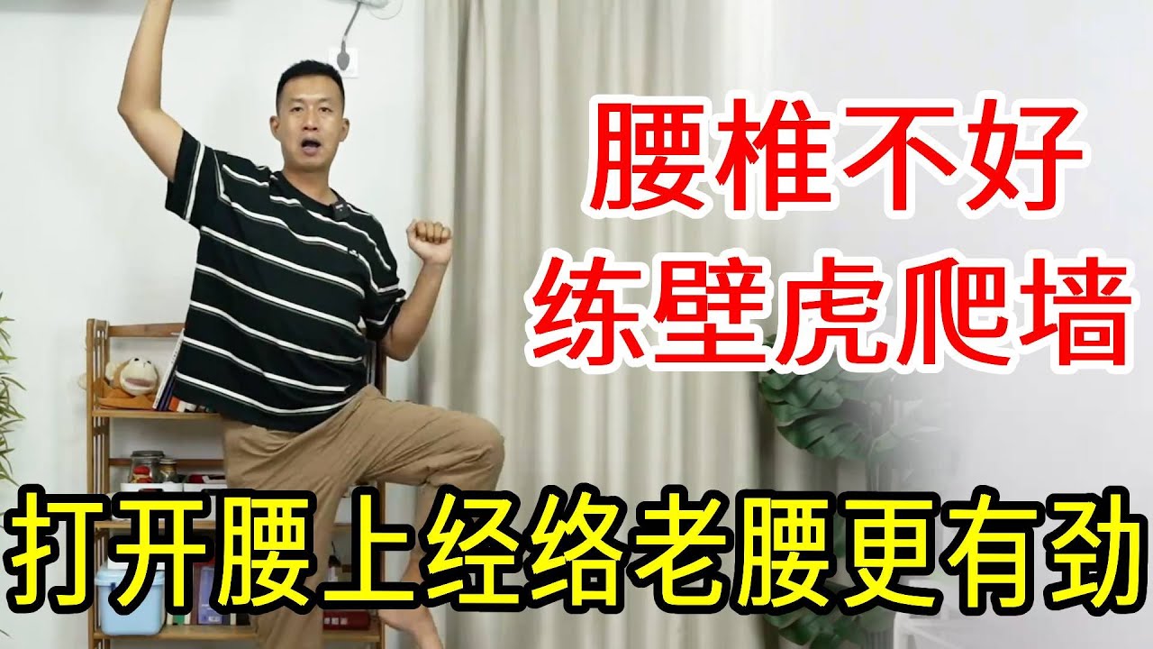 对腰椎最友好的动作，每天练习壁虎爬墙！50下打开腰上经络，老腰有劲了【人体百科David伟】