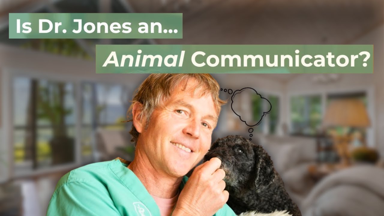Can You Really Talk to Dogs and Cats? Learn Animal Communication