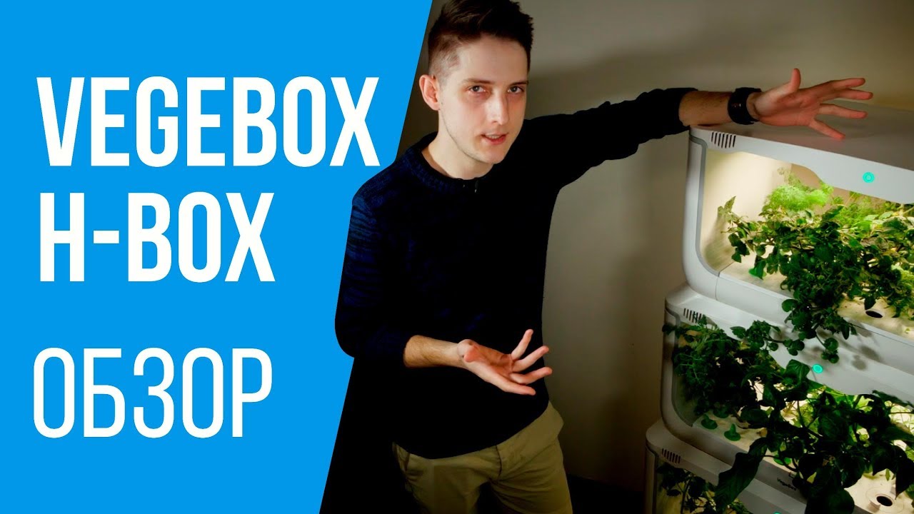 Vegebox H-Box: обзор домашней фермы