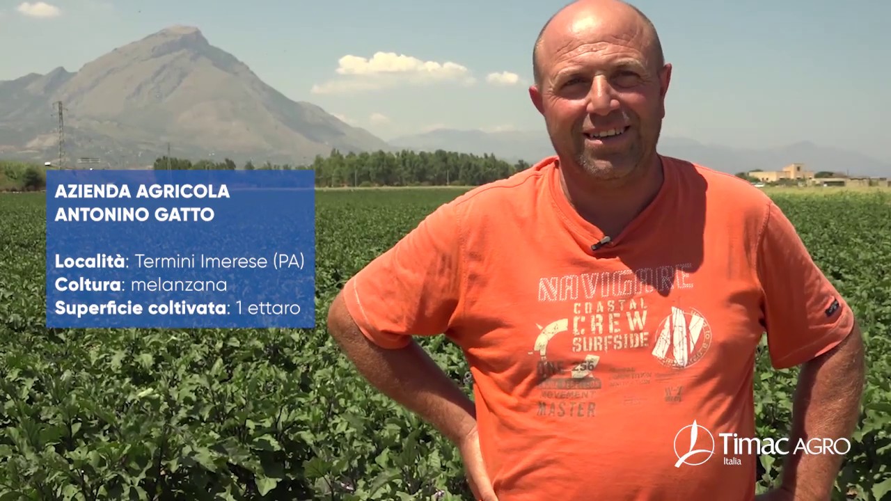 Agricoltori di Successo - Azienda Agricola Antonino Gatto