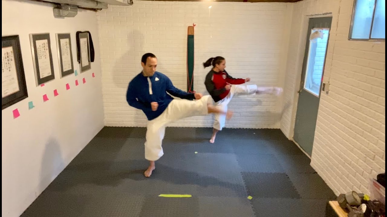 Karate training : 38 min kicking and stance training