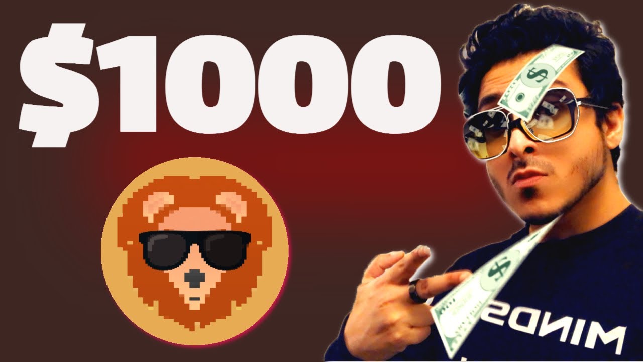 Savanna Finance: Starting with a $1000, Here's how I would do it! 😎
