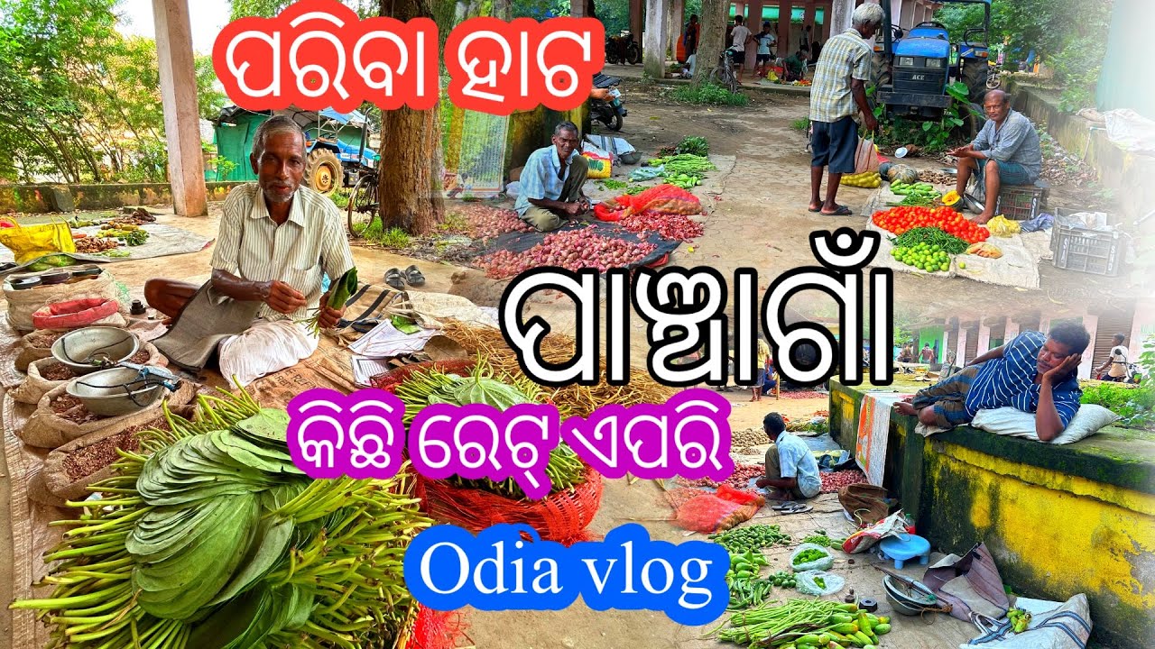 Panchagan Pariba Hata Ret Odia Vlog || Village Hata || Odisha Village Life, Let's Go to Odisha ￼
