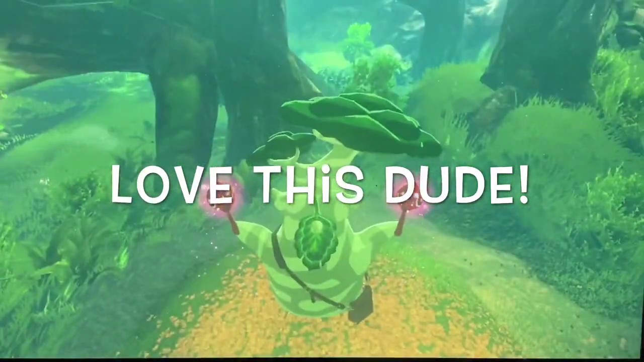 Legend of Zelda Breath of the Wild Gameplay 2020 | Hyrule Riddle walkthrough