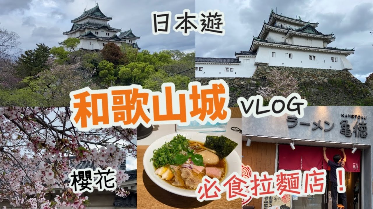 和歌山自由行Vlog| 和歌山城睇櫻花🌸| 天守閣|和歌山必食拉麵店！醬油拉麵|ラーメン亀徳|大阪關西|日本旅遊