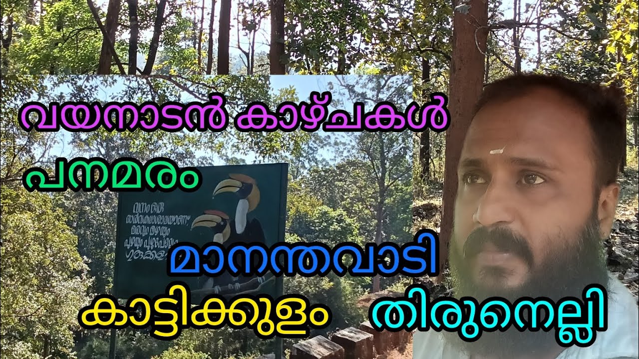 വയനാടൻ കാഴ്ചകൾ 