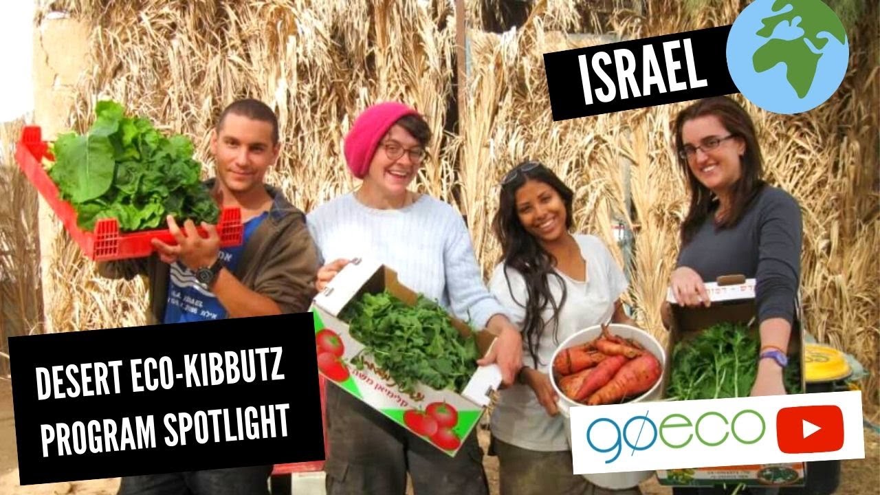 GoEco VOLUNTEER Vlog | SUSTAINABILITY in the Desert | Volunteering Abroad