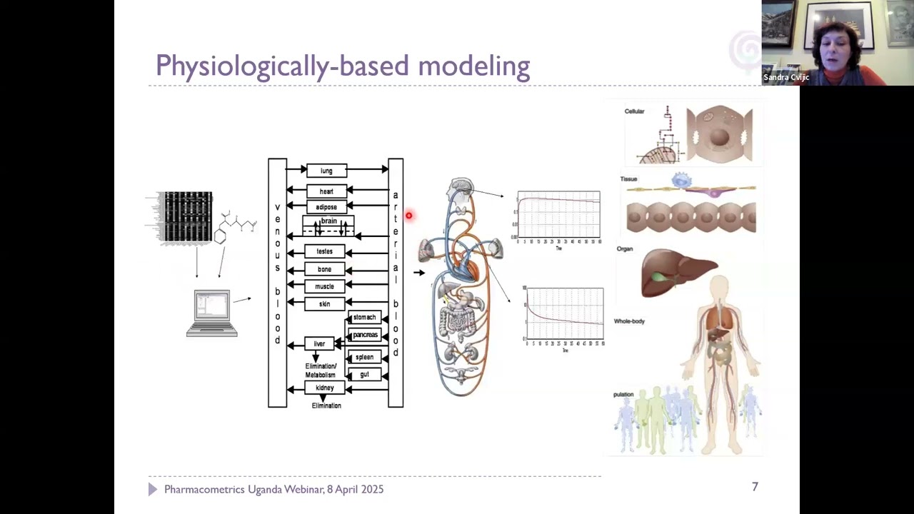 Webinar: Mechanistic Absorption Modeling: Enhancing Understanding and Prediction of Drug Performance