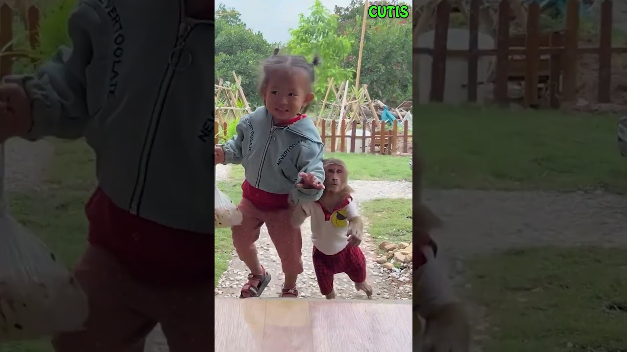 Cutest Monkey! Go Market Take Care of Mom #monkey #shortvideo #animals