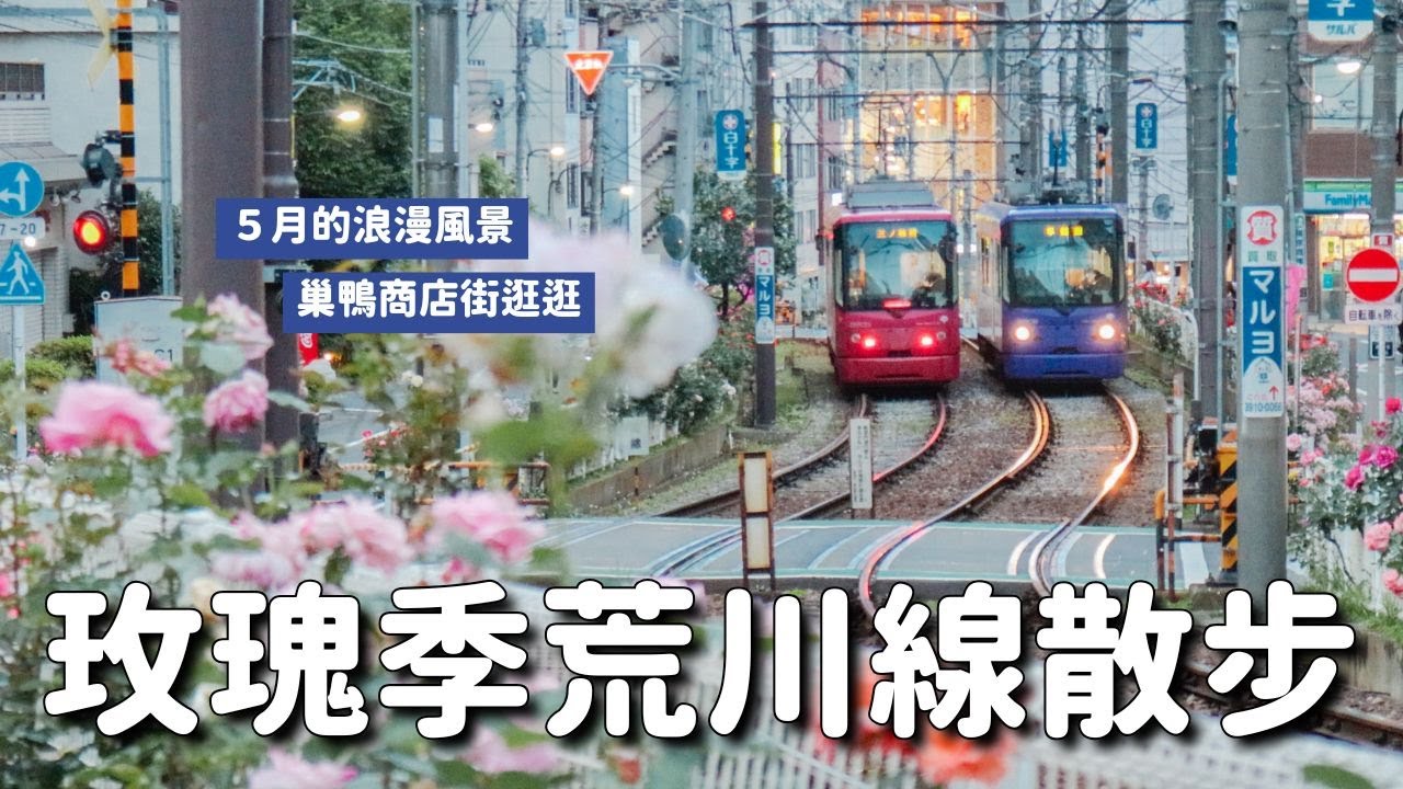 都電荒川線散步🌹巢鴨商店街&沿線13000株玫瑰9個推薦車站｜5月中最浪漫的東京路面電車風景｜日本4K旅遊VLOG｜開箱美國品牌 Teddy Blake 粉紅小包