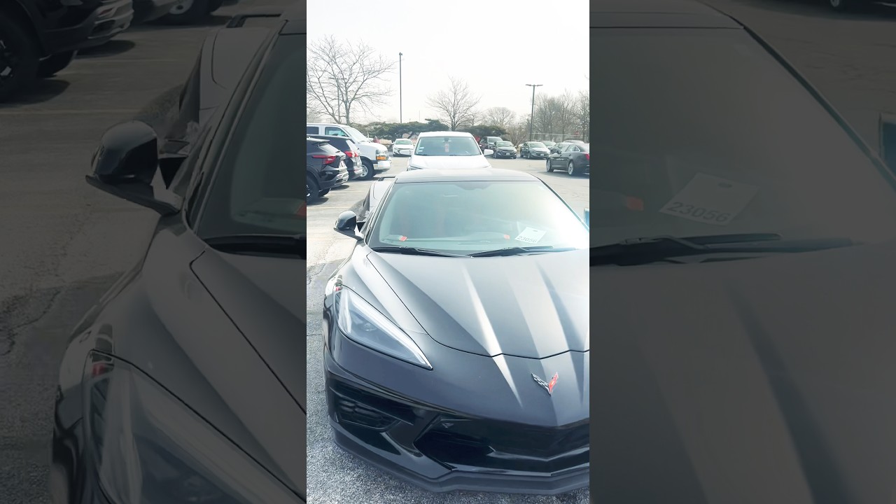 Beautiful Black Corvette #cars #performance #reels #shorts #corvette #chevrolet #sale #black #short