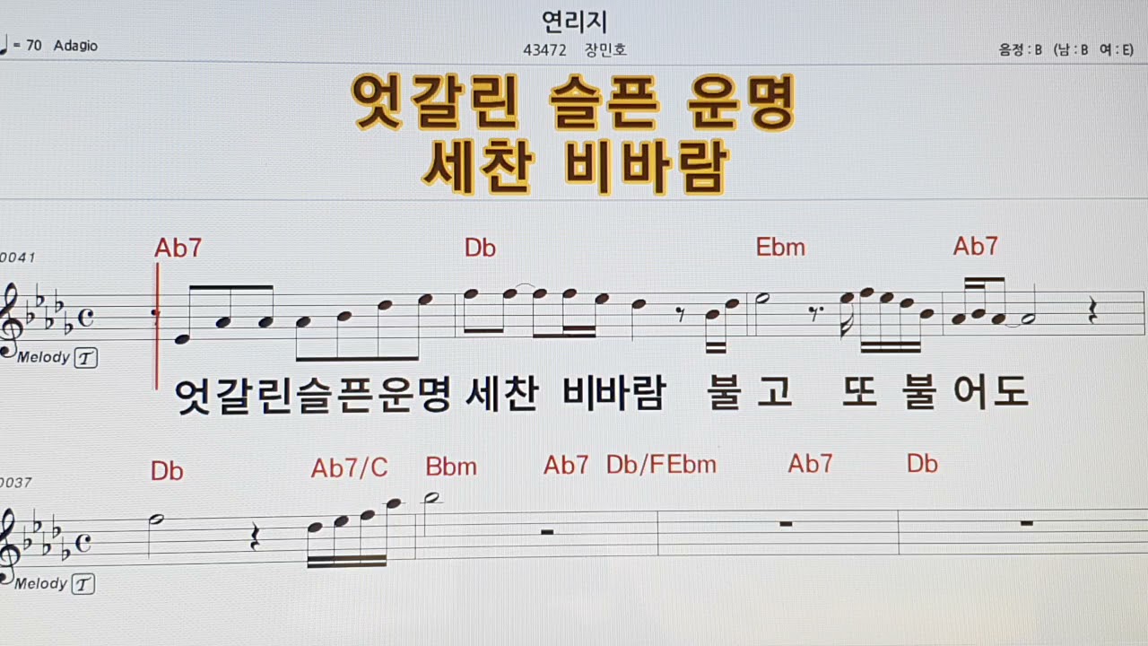 연리지 장민호 B 원키 남자키