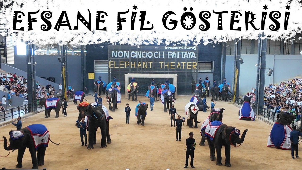 Fillerin Efsane Gösterisi - Nong Nooch Pattaya | Tayland