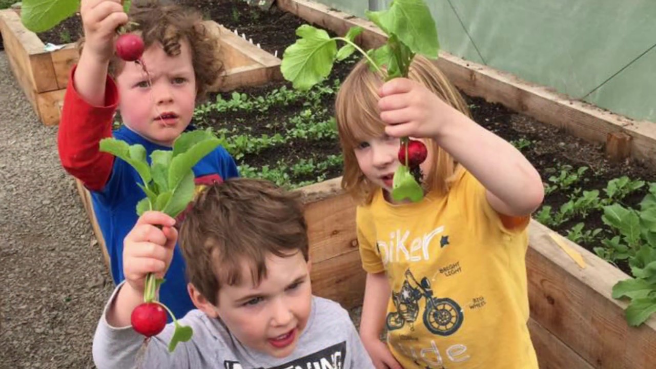 Tayport Community Garden 2017: according to Trump