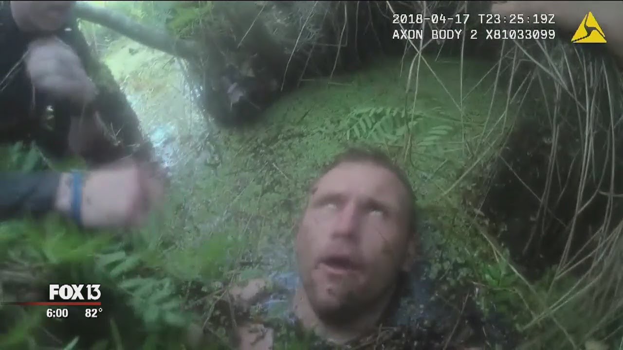 Body-camera video shows Pasco deputy, K-9 track suspect in swamp