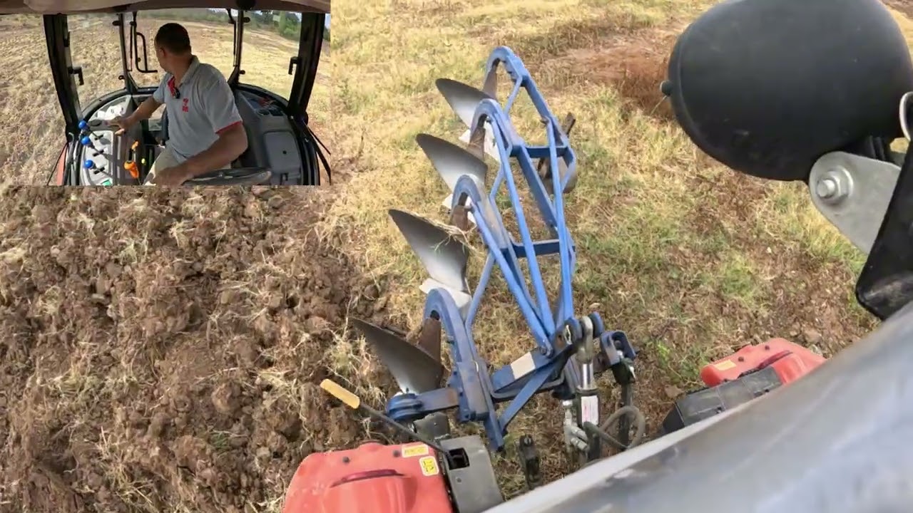 Kurakta ayrık otu sürümü....#keşfet #ytdayibenionecikarnolur #tarım #farming #tarla #agriculture 
