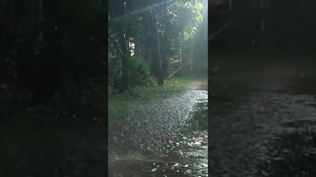 hujan malam hari yang sepi #rain #banjir #hujanbadai