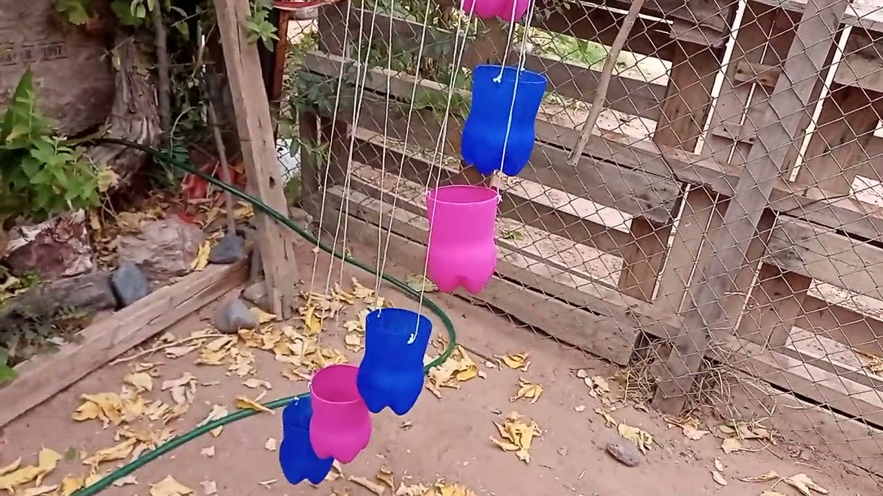 Mi mundo es mi casa,mi patio ,mis plantas ❤️❤️❤️