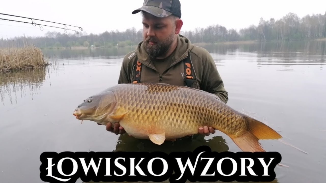 #Łowisko Wzory | Woj. #Lubelskie | 48 godzinna #zasiadka ! | #karp  #karpiowanie #wędkarstwo