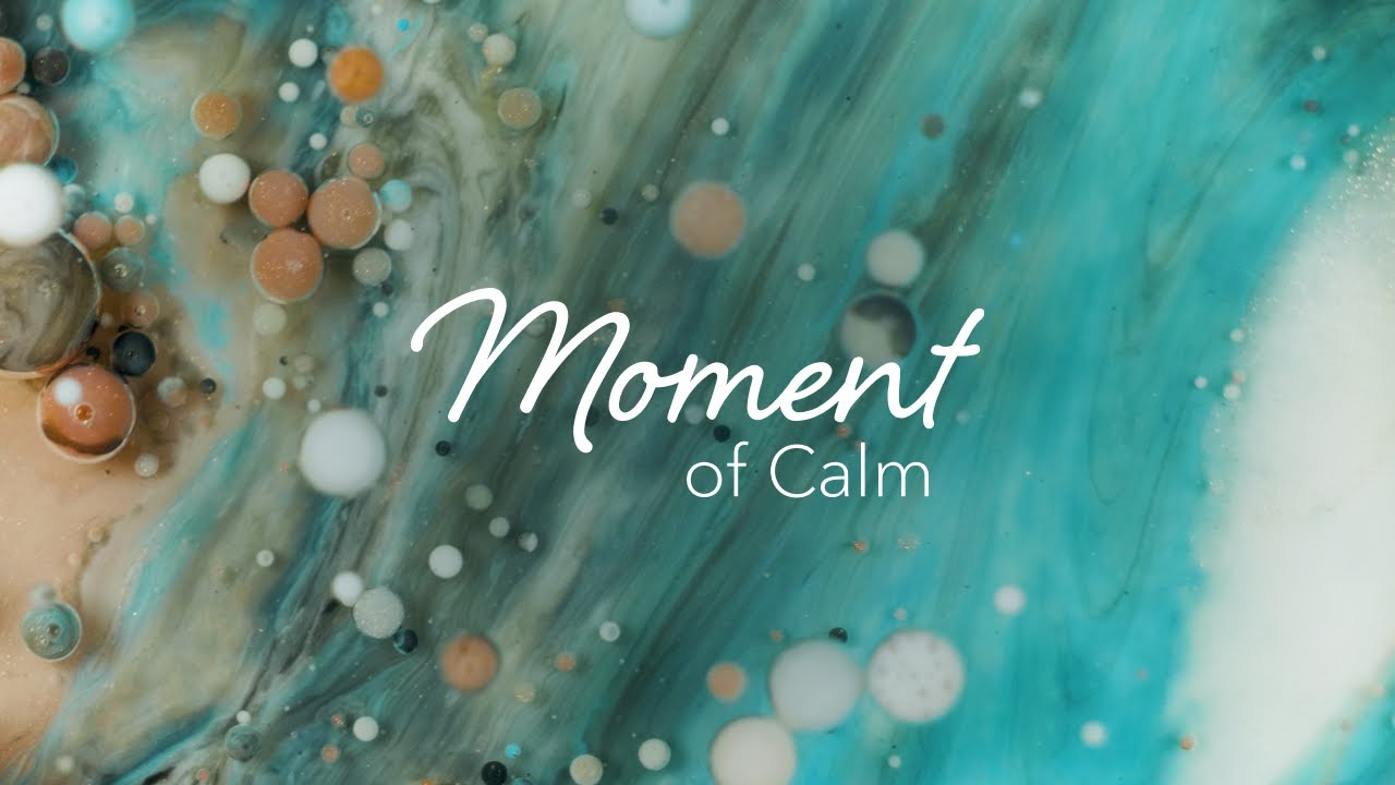 Moment of Calm | Transformation