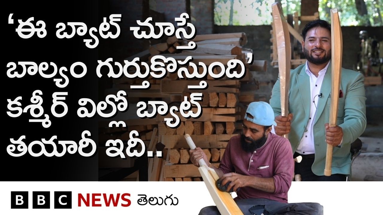 క్రికెట్ ప్రపంచంలో బాగా ఫేమస్ అయిన Kashmir Willow Bat ఎలా తయారు చేస్తారో తెలుసా? | BBC Telugu