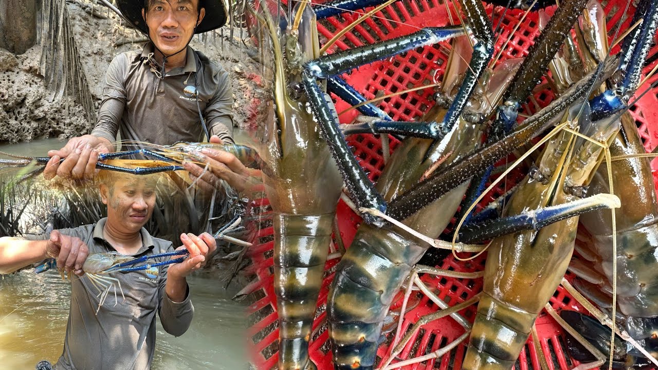 Mò Tôm Càng đụng toàn hàng khủng... Anh Em Cần Giờ