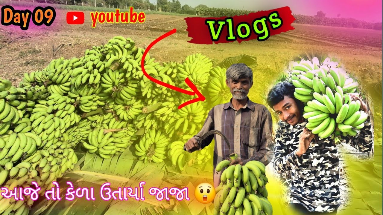 આજે તો કેળા ઉતાર્યા જાજા 😲 youtube vlogs ♥️ 
