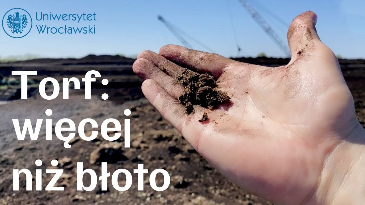O badaniach, znaczeniu i zastosowaniu torfu (nie tylko na pierogi!)