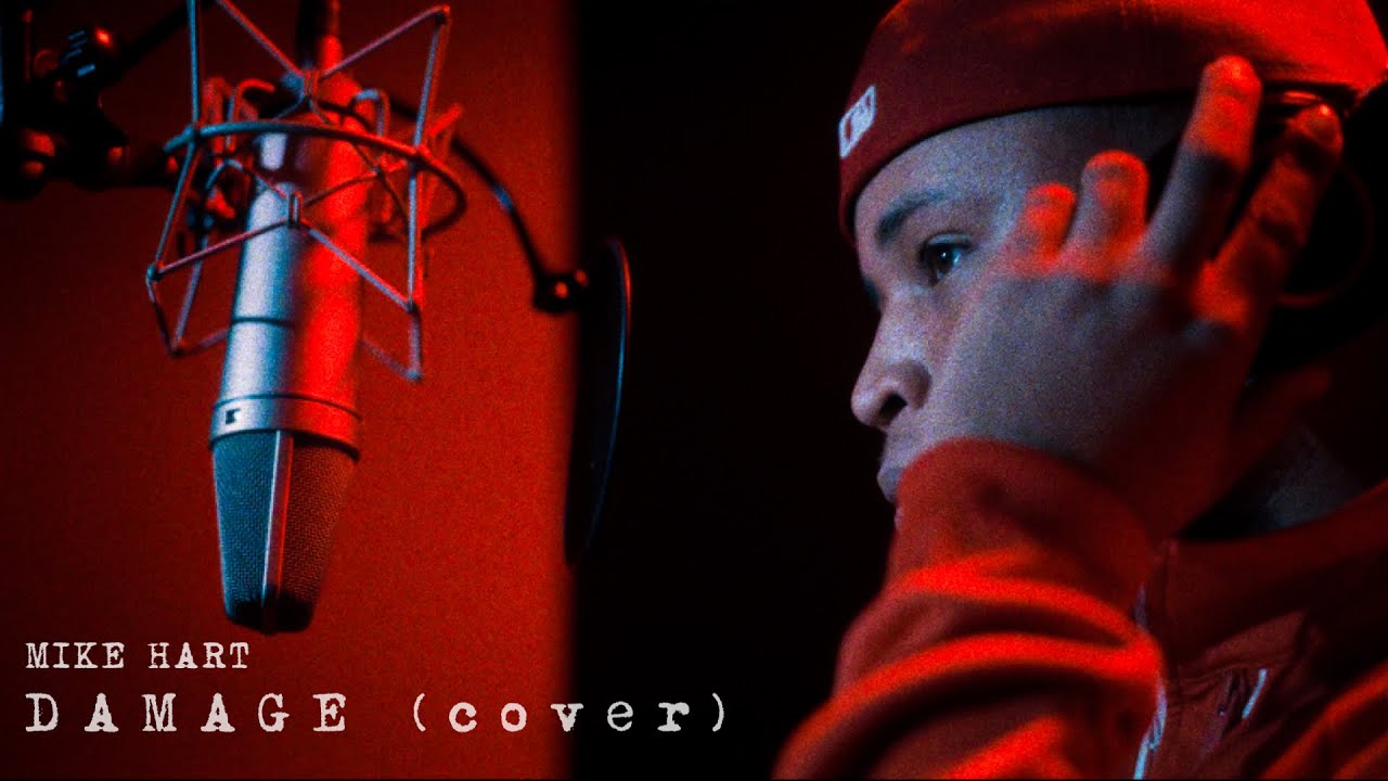 Mike Hart - Damage (Cover)