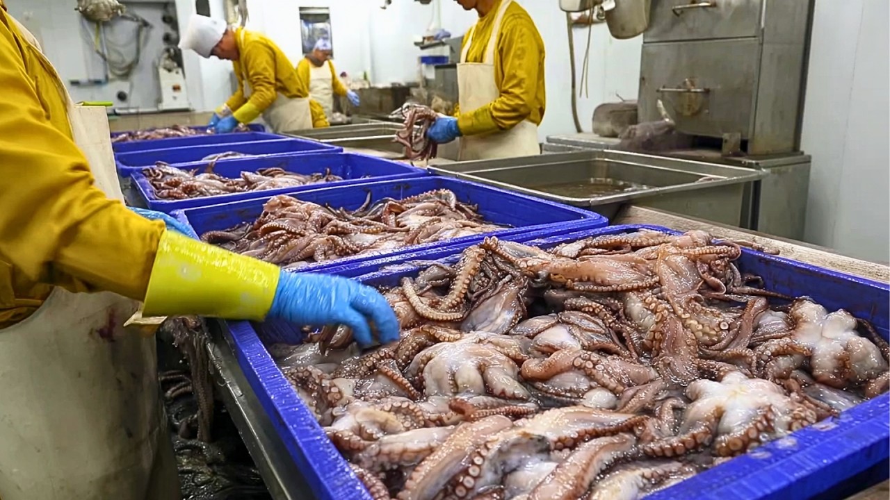 How World's TOP Seafood Is Processed into Stunning Dishes | Premium Preparation by @Food-Kingdom