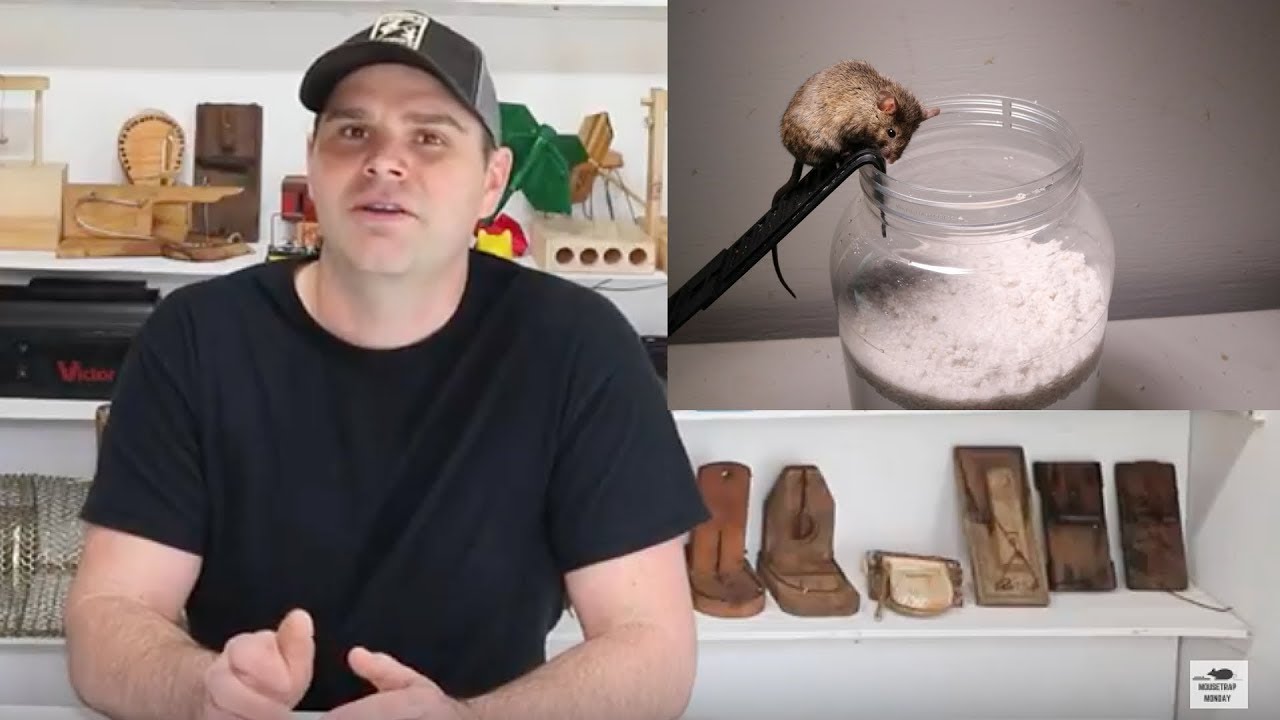 Preview For Monday's Video: Quicksand Mouse Trap Kit Sold On Amazon