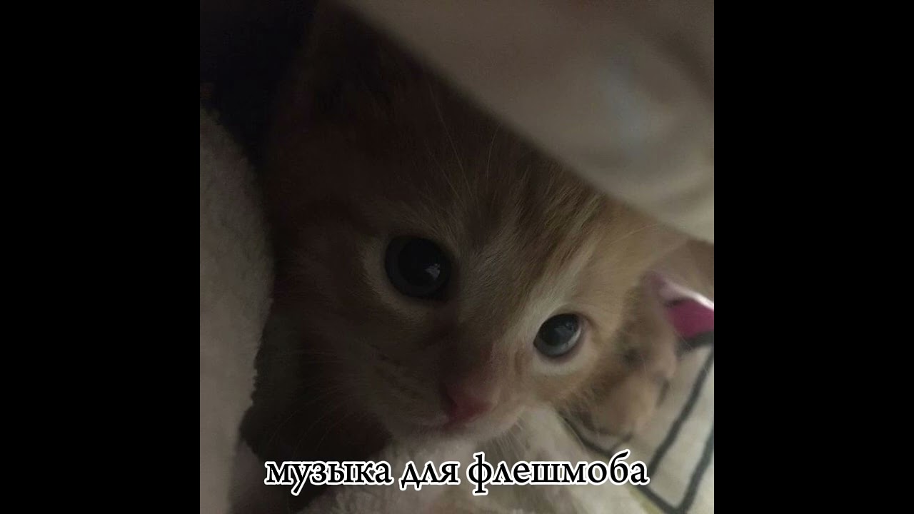 музыка для флешмоба 🚹