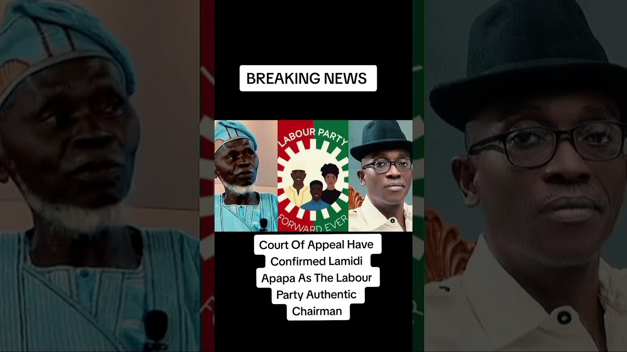 Lamidi Apapa Wins At The Court Of Appeal #fyp #viral #trending #peterobi #labourparty #breakingnews