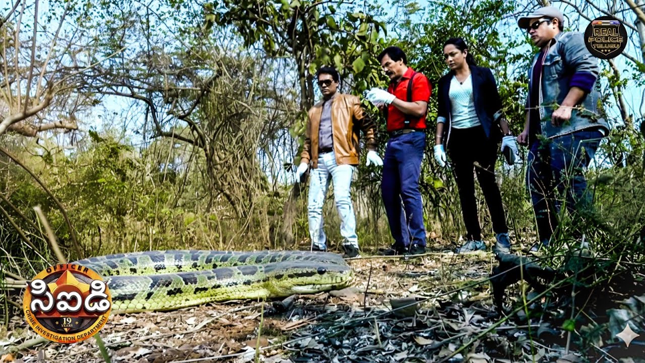టీం CID ఒక ప్రాణాంతకమైన పైథాన్‌ను ఎదుర్కొన్నప్పుడు | CID | సీఐడీ | New Season | Episode Part 11