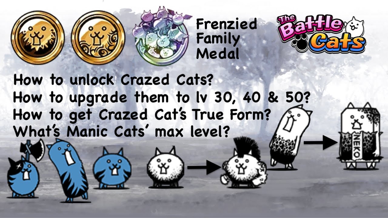 How to unlock Crazed Cats? How to upgrade Manic Cats to level 30, level 40 & level 50?