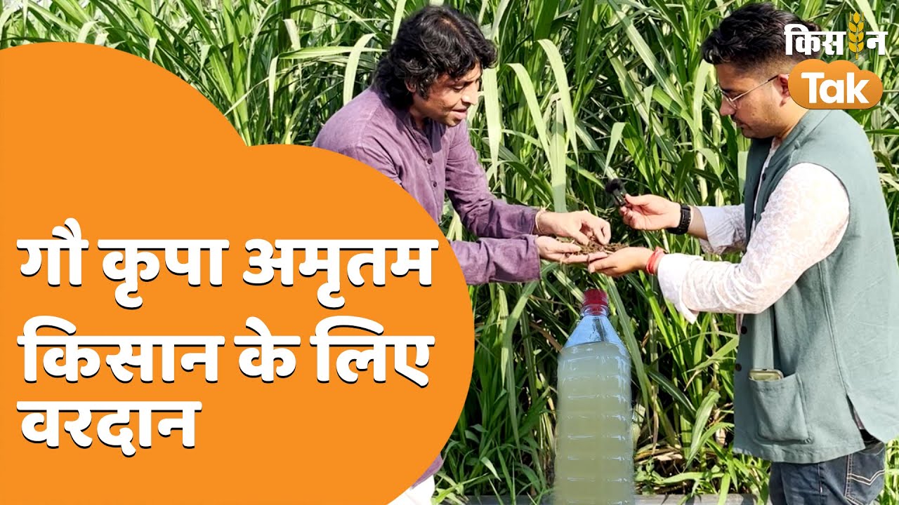 Gopal Sutariya से जानिए गौ कृपा अमृतम का महत्व | Bansi Gir Gaushala, Gujarat | Kisan Tak