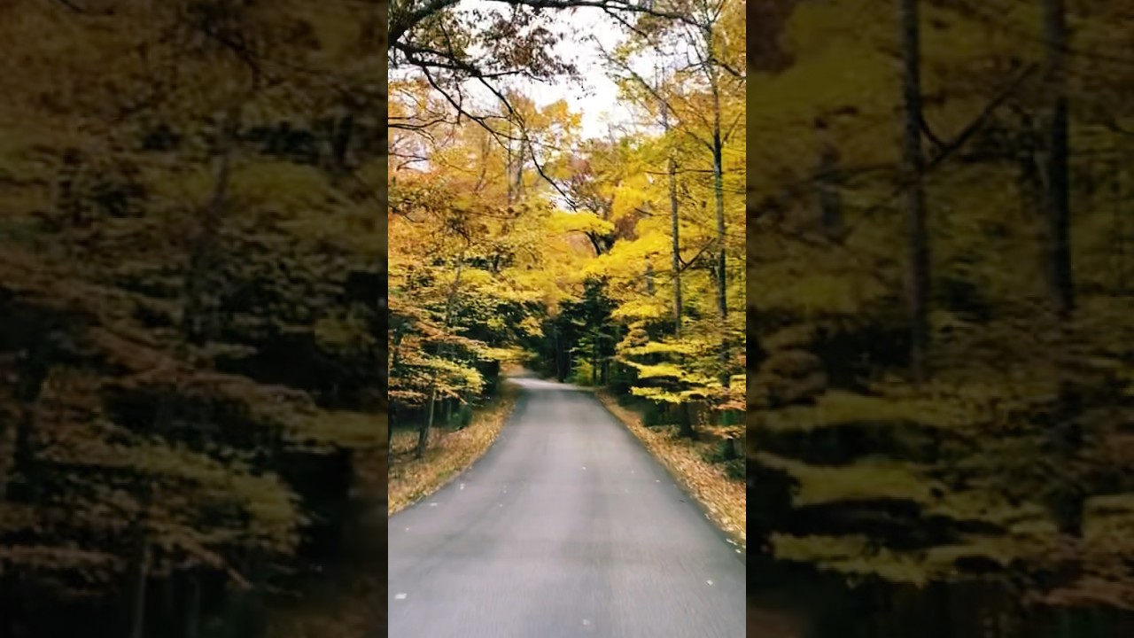 Amazing fall colors 