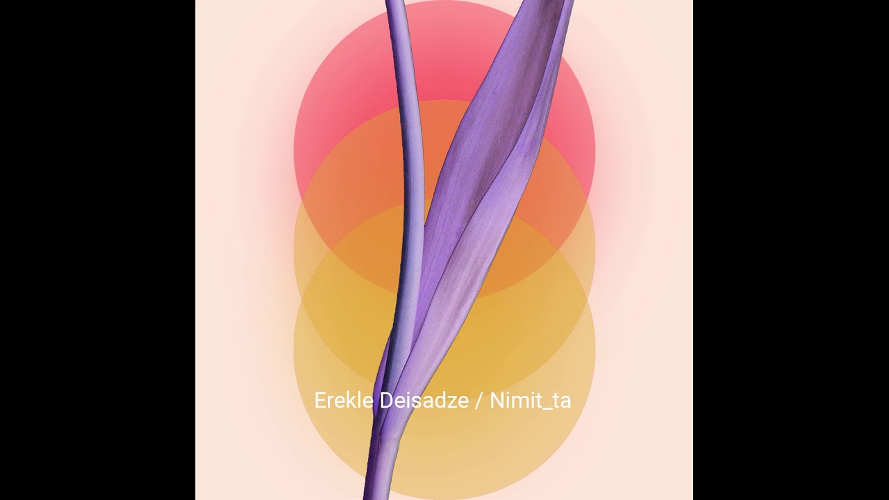 Erekle Deisadze / Nimit_ta  -  Namasa / ნამასა
