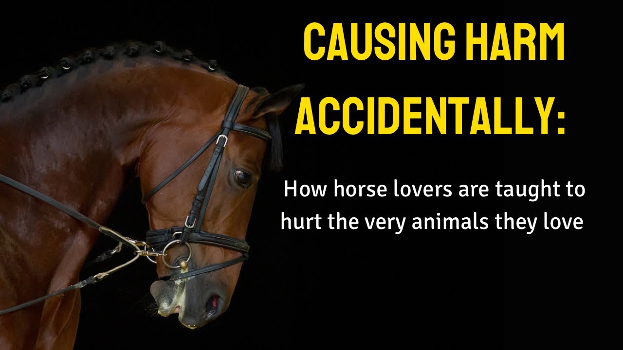 Harming Horses By Accident: Why The Horse Industry Needs Welfare Reform