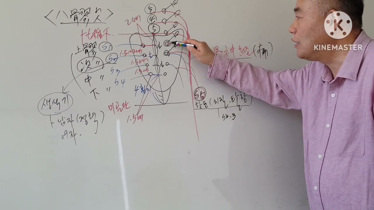 [한방서당] 침술 강의 : 경혈학 - 방광경 팔료혈(八髎穴)