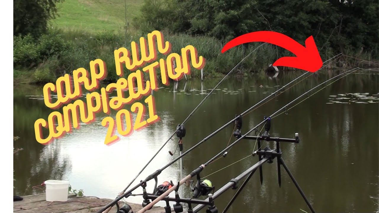 BRANIE KARPI I AMUR&Oacute;W - CARP RUN 2021 !!! SUMMER
