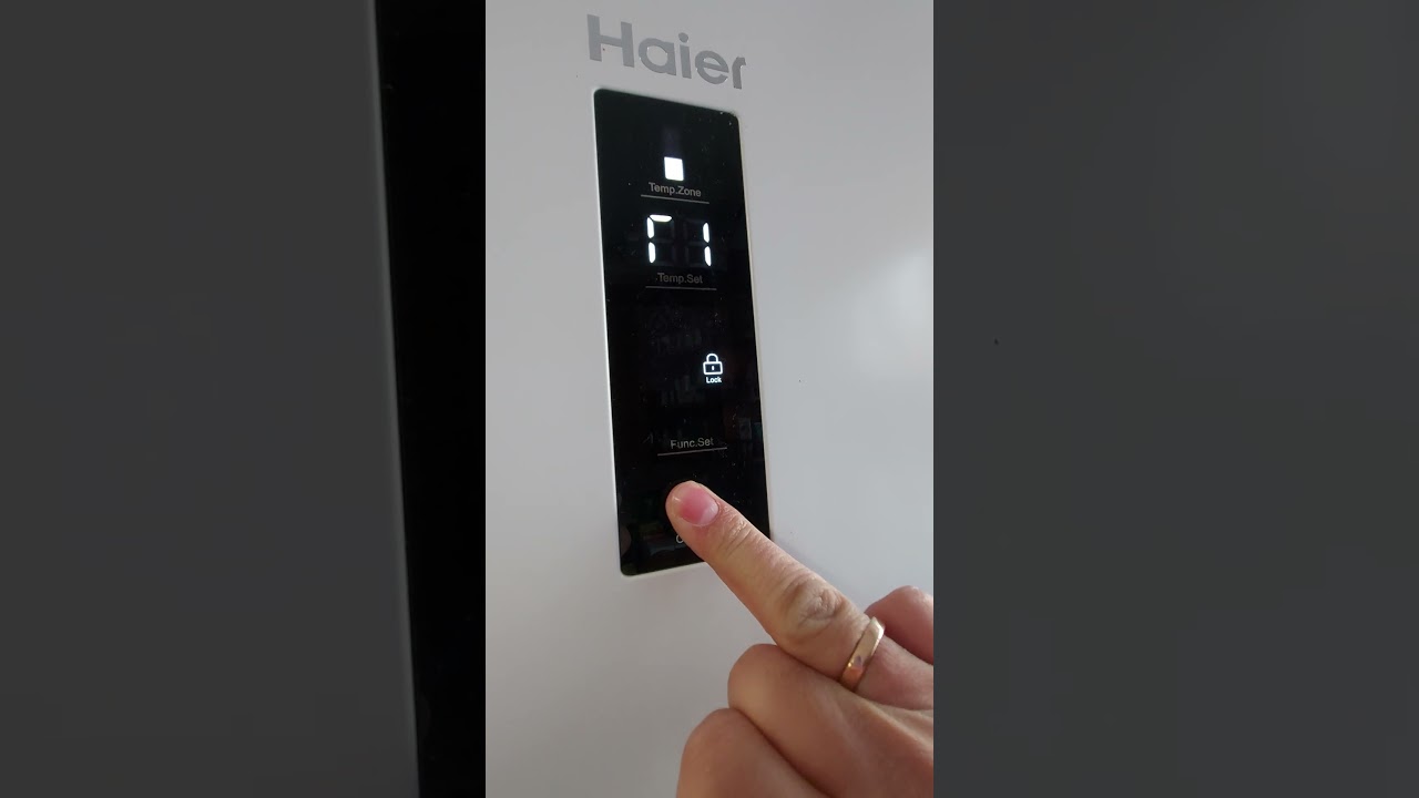 Refrigerator haier error r1 #refrigerator #haier #siberian_lemur #china #r2 #r1 #error