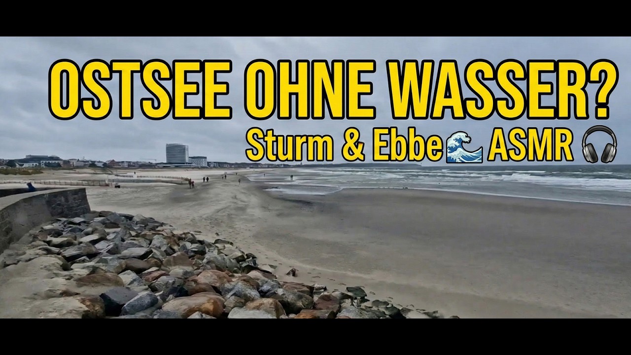 ASMR Sturm & Ebbe: Wenn der Wind die Ostsee wegdrückt | Warnemünde 🎧🌬️
