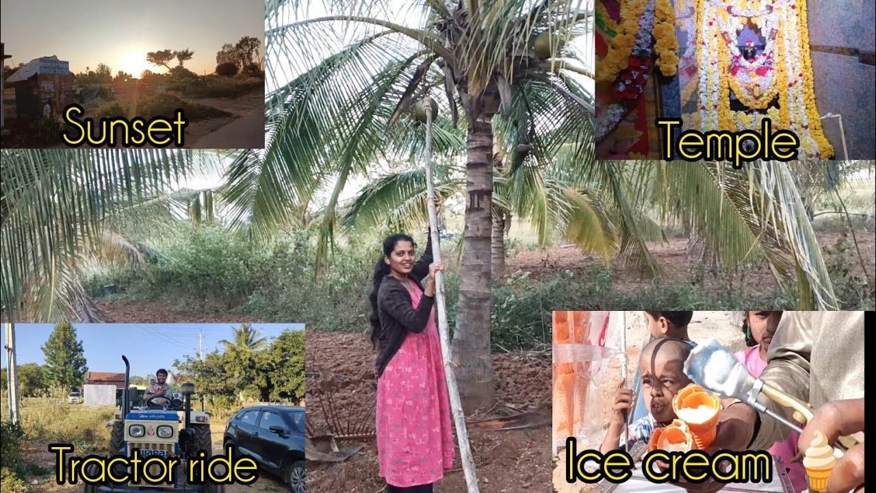 First time ನಾನು ಎಳನೀರು ಕಿತ್ತೆ @Divyamanvithvlogs 