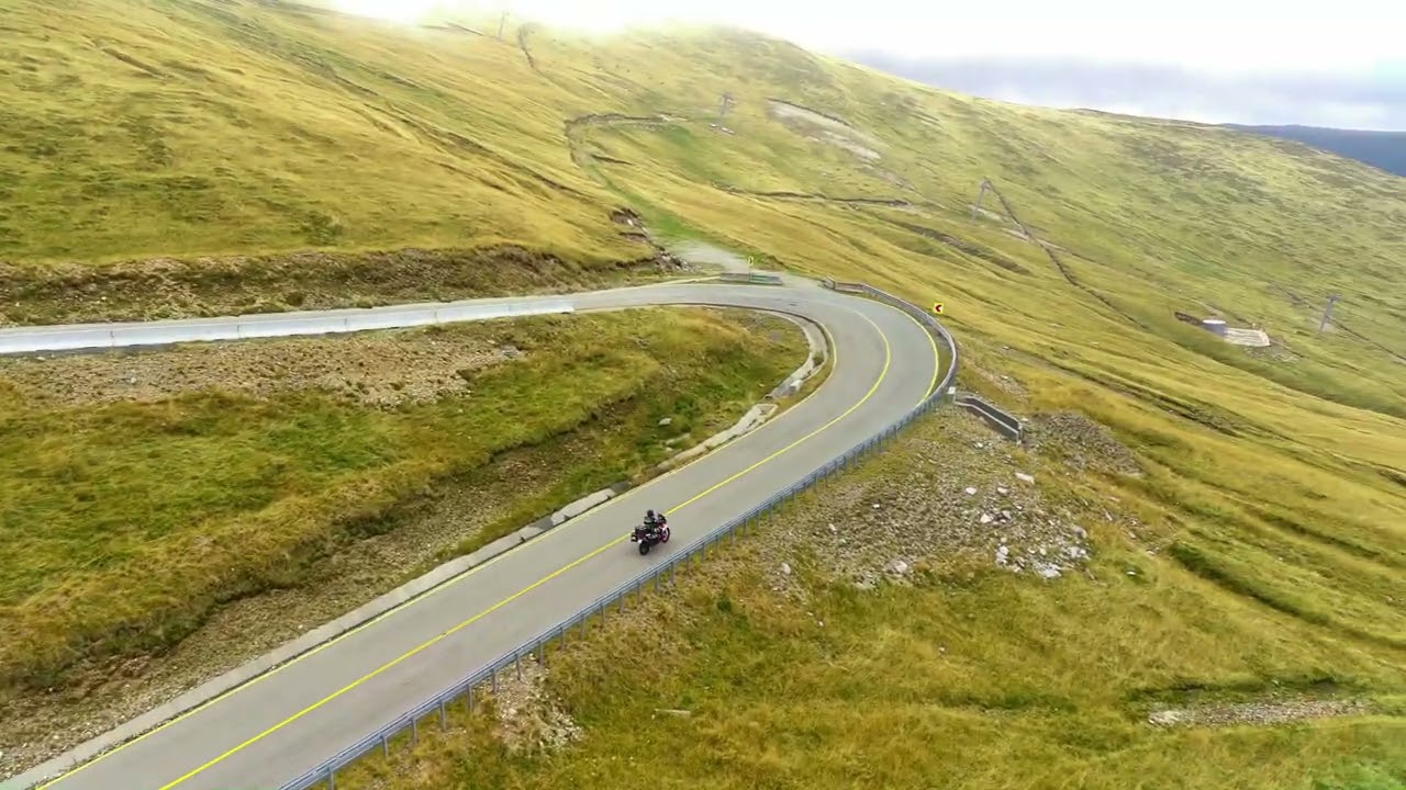Sheeps Blocks the Road