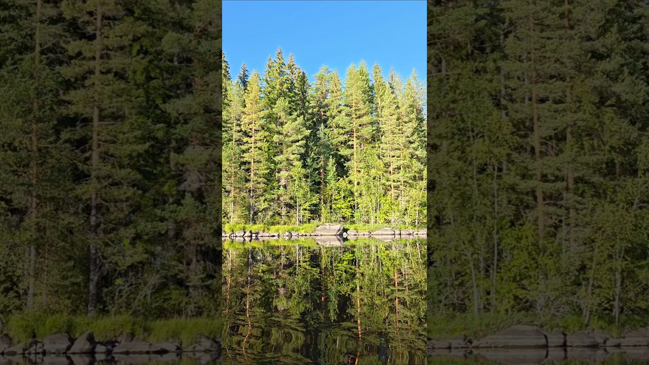 Central Finland 🇫🇮 #finland #finlandia #nature #naturelovers