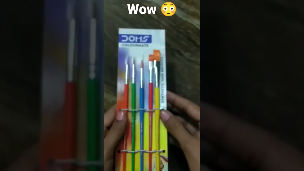 Doms Paint Brush🖌️ Set for Only 50rs😱//Unboxing Painting 🖌️#trending #shorts #viral #creativebaby
