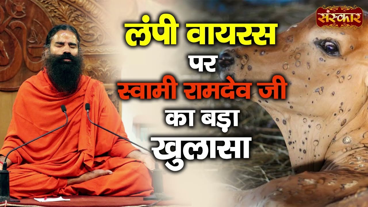 देखिये क्या कहा स्वामी रामदेव जी ने लंपी वायरस पर | Lampi Virus | Swami Ramdev Ji on Lampi Virus