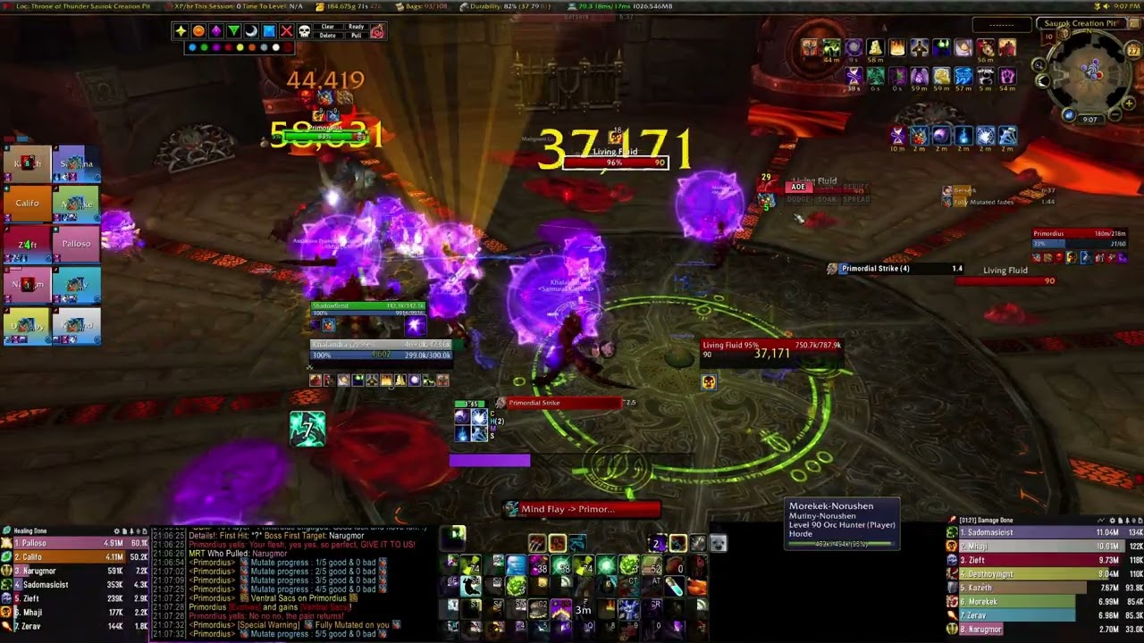 WoW MoP Classic - Primordius - 10M Normal - Shadow Priest PoV